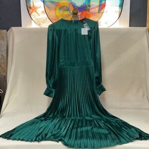 NWT Woman’s long sleeve Ordinarily Jas floor length dress